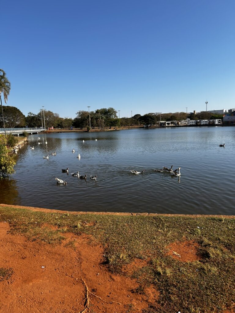 Férias em Brasília